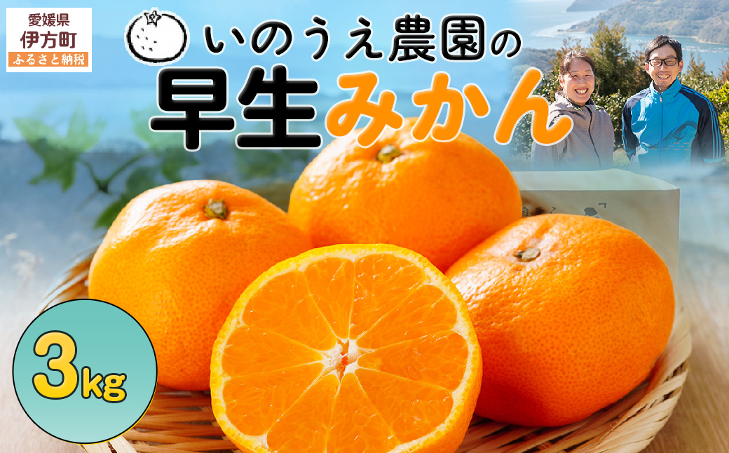【先行予約】いのうえ農園の早生みかん 3kg ※離島への配送不可（2025年11月中旬より順次発送） IKTAI008