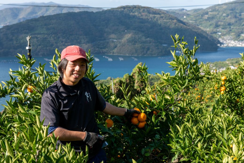 果汁たっぷり！シャーベットなのに滑らかな口当たりニュウズシャーベット3種10個 ※離島への配送不可 IKTF025