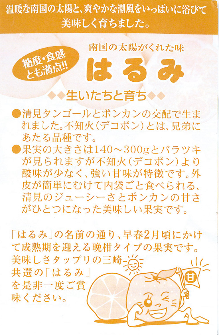 【先行予約】【数量限定】はるみ（生果5kg）※離島への配送不可（2026年1月下旬より順次発送予定） IKTBD009
