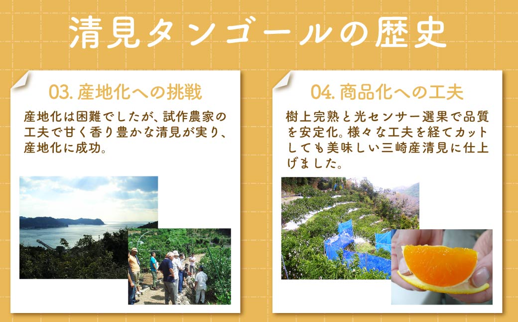 【先行予約】清見タンゴール（貯蔵・生果5kg）※離島への配送不可（2026年4月下旬より順次発送予定） IKTBD007