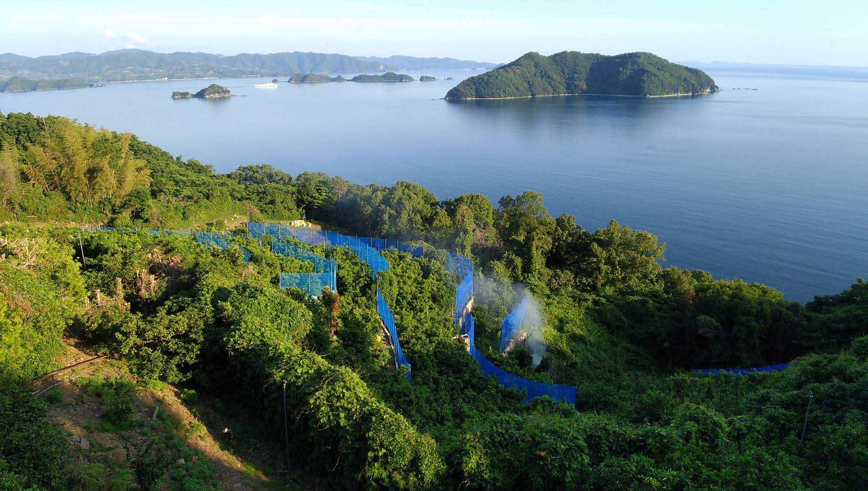 ハーフ＆ハーフジュースセット≪高級柑橘愛果28号使用≫（1000ml×3本）  【ふるさと納税 人気 おすすめ ランキング ジュース みかんジュース オレンジジュース 柑橘 みかん 温州みかん 愛果28号 蜜柑 飲料 ドリンク 果汁100％ 岡市農園 愛媛県産 愛媛県 伊方町 送料無料】 IKTV001 