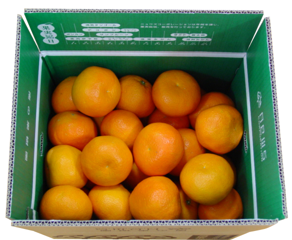 【先行予約】産地直送！愛媛県産いよかん 5kg（2026年1月中旬から発送予定） IKTF004