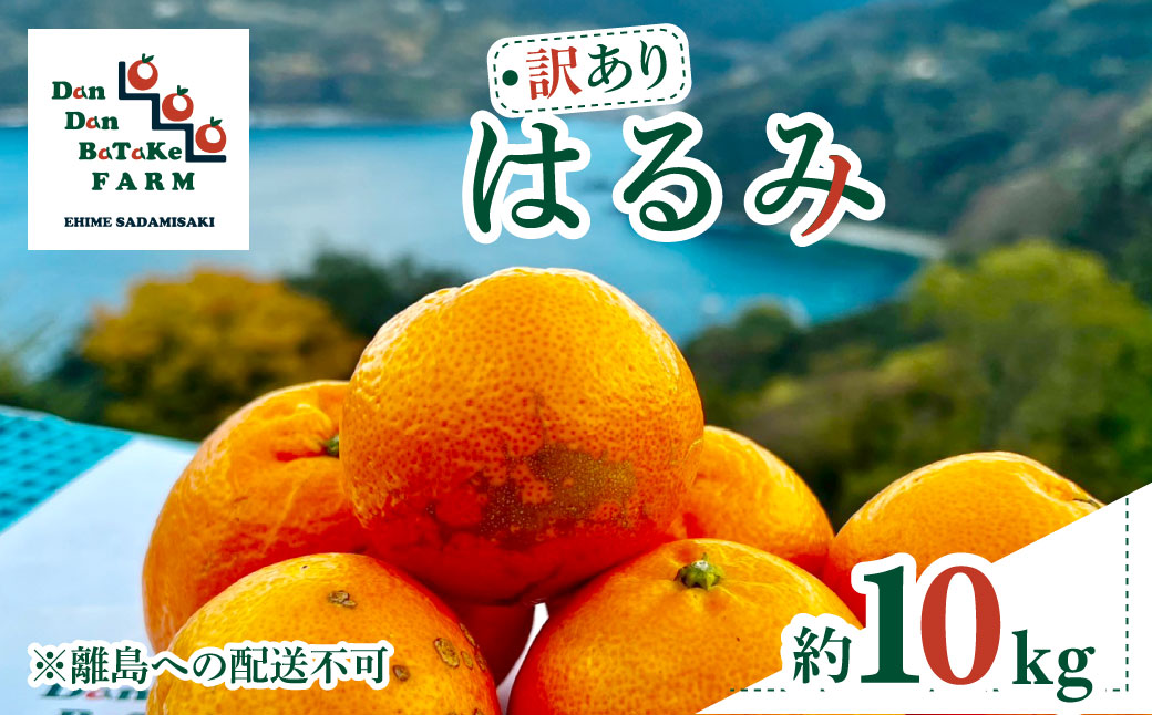 【先行予約】【訳あり】はるみ 約10kg | 柑橘 みかん 果物 フルーツ 愛媛県産 農家直送 　※離島への配送不可　※2026年1月下旬より順次発送予定 IKTAU005