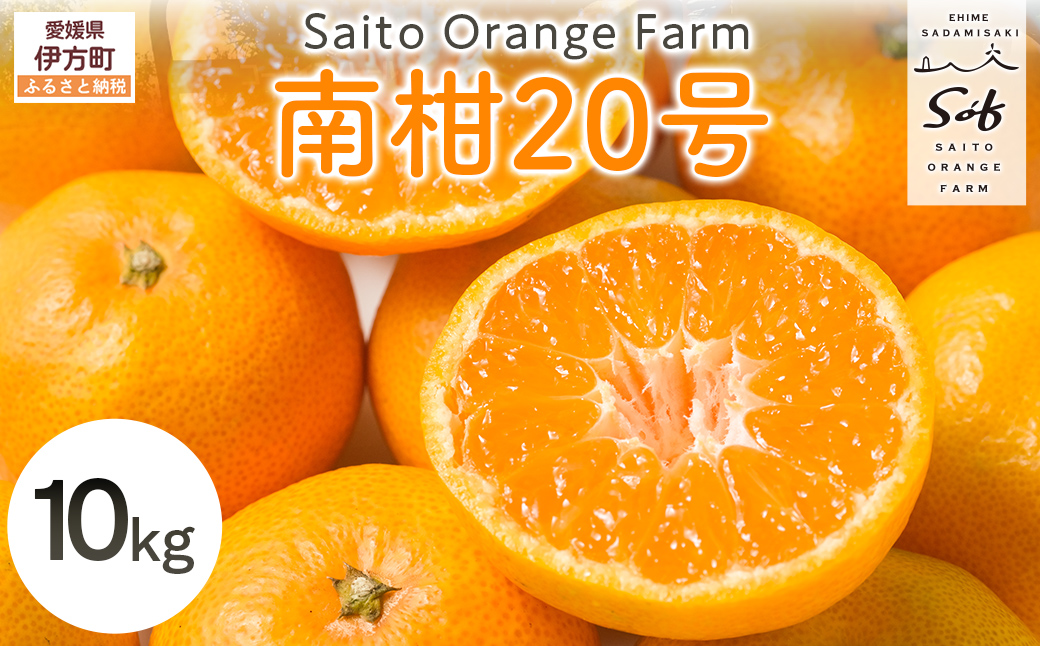 【先行予約】Saito Orange Farmの南柑20号10kg（2025年12月中下旬頃より順次発送） IKTAQ019