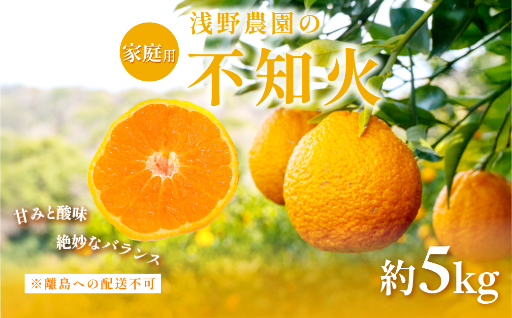 【先行予約】【家庭用】浅野農園の不知火 計5kg ※離島への配送不可（2026年2月中旬頃より順次発送予定） IKTAC029