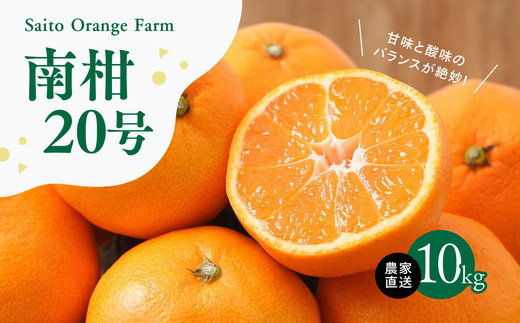 【先行予約】Saito Orange Farmの南柑20号10kg ｜ 温州みかん 代表 柑橘 みかん ミカン フルーツ  果物 愛媛　※離島への配送不可　※2024年12月上旬頃より順次発送予定