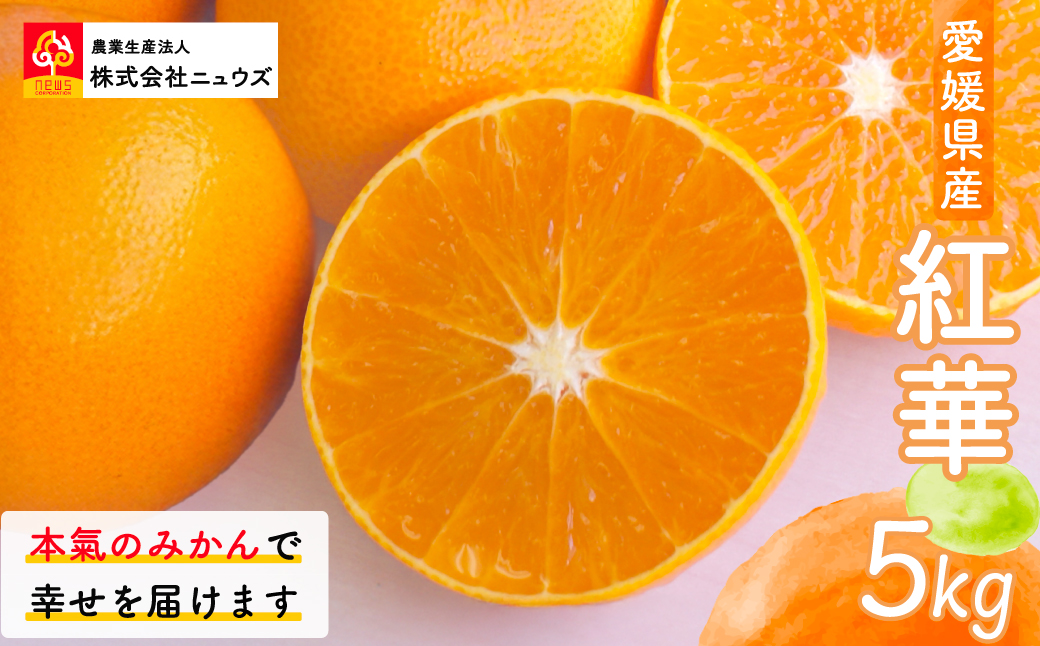 【先行予約】紅華（生果）約5kg （2025年12月上旬より順次発送） IKTF015