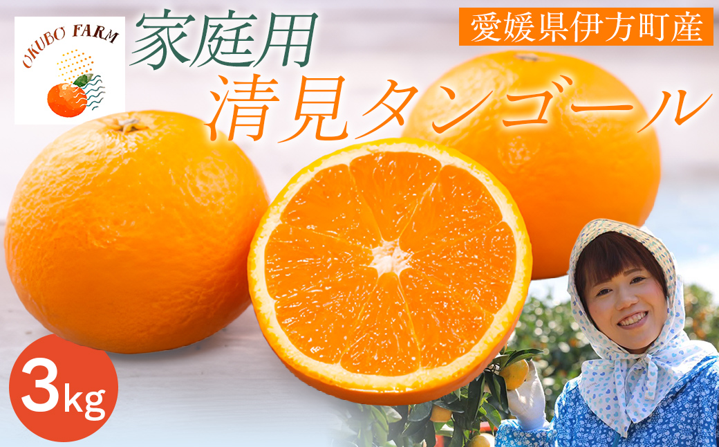 【先行予約】【家庭用】清見タンゴール 3kg ※北海道・沖縄・離島への配送不可（2027年3月11日より順次発送） IKTAT005 