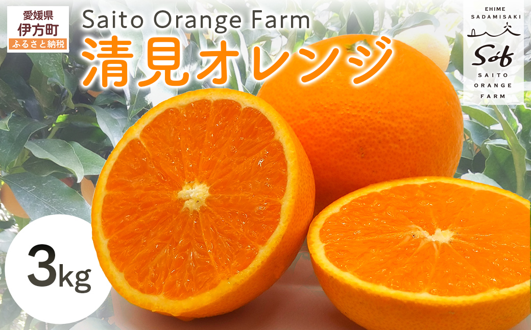 【先行予約】Saito Orange Farmの清見オレンジ3kg ※着日指定不可（2026年3月中旬頃より順次発送） IKTAQ006