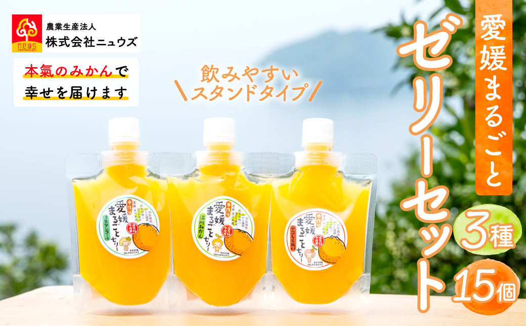 飲みやすいスタンドタイプ 愛媛まるごとゼリー 3種15個 ※離島への配送不可 IKTF027