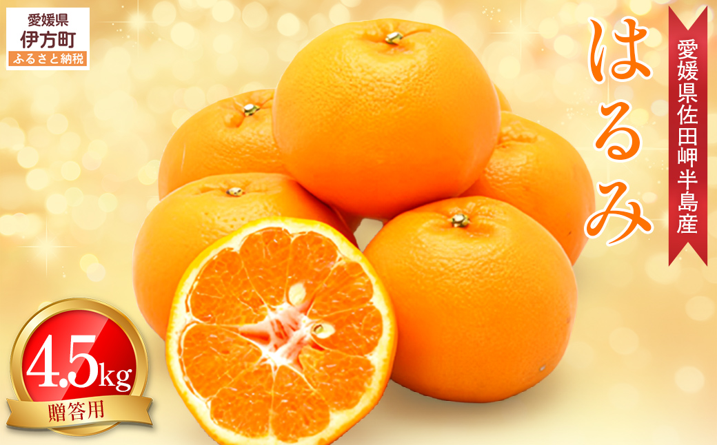 【先行予約】【農家直送】愛媛県産 はるみ 贈答用 4.5kg（2026年1月中旬〜2月上旬頃発送予定） IKTC009