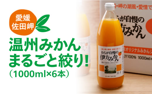 【愛媛県産】おらが自慢の伊方みかんジュース（1000ml×6本）ストレート果汁100％◇