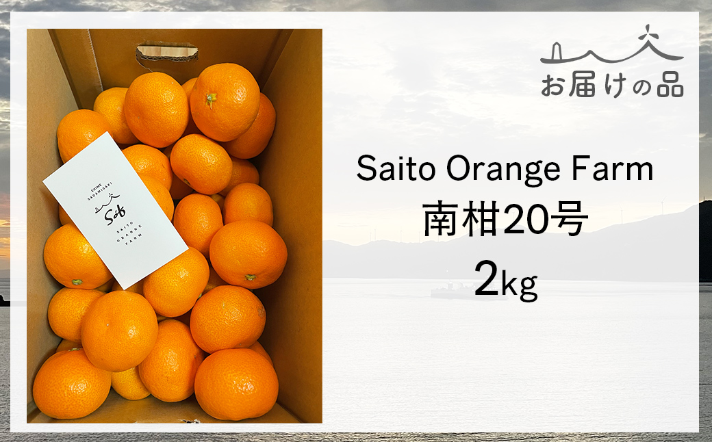 ãå
è¡äºçŽãSaito Orange Farmã®åæ20å·2kgïŒ2026幎12æäžæ¬é ããé æ¬¡çºéäºå®ïŒ IKTAQ033
