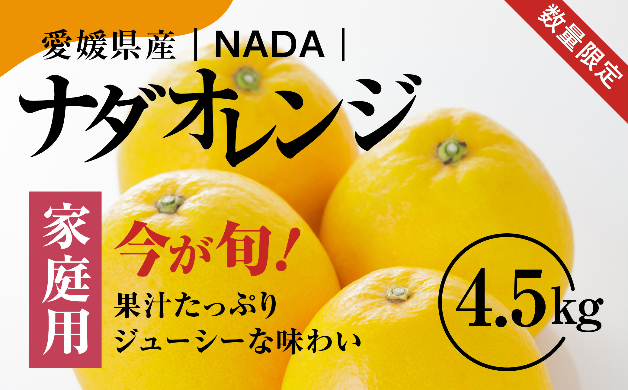 【先行予約】【農家直送】愛媛県産 ナダオレンジ 家庭用 4.5kg ｜ 柑橘 蜜柑 みかん ミカン 果物 フルーツ 河内晩柑 ※2025年5月中旬頃より順次発送予定