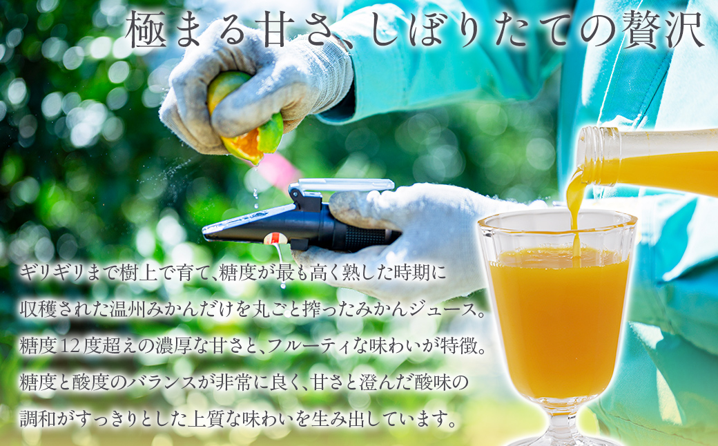 木なり「熟」みかんジュース（720ml×2本） IKTE010