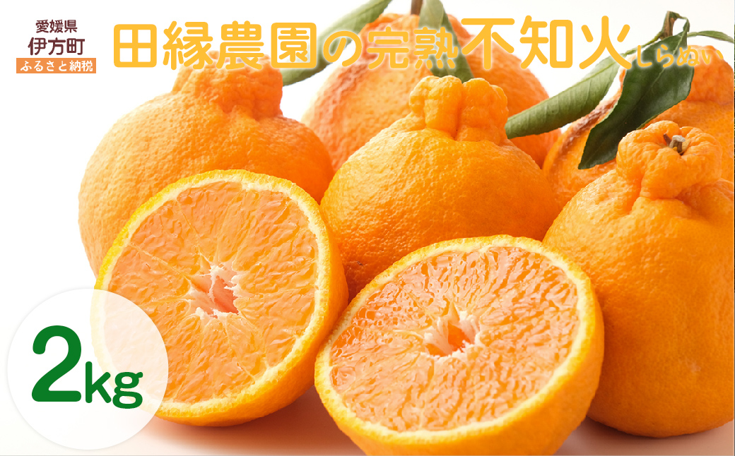 【先行予約】【数量限定】田縁農園の完熟不知火（しらぬい）2kg ※離島への配送不可 （2026年3月20日より順次発送）IKTA029