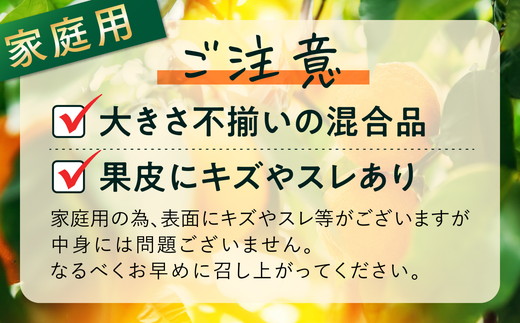 【先行予約】【家庭用】河内晩柑 7kg　※離島への配送不可　※2025年4月上旬頃より順次発送予定