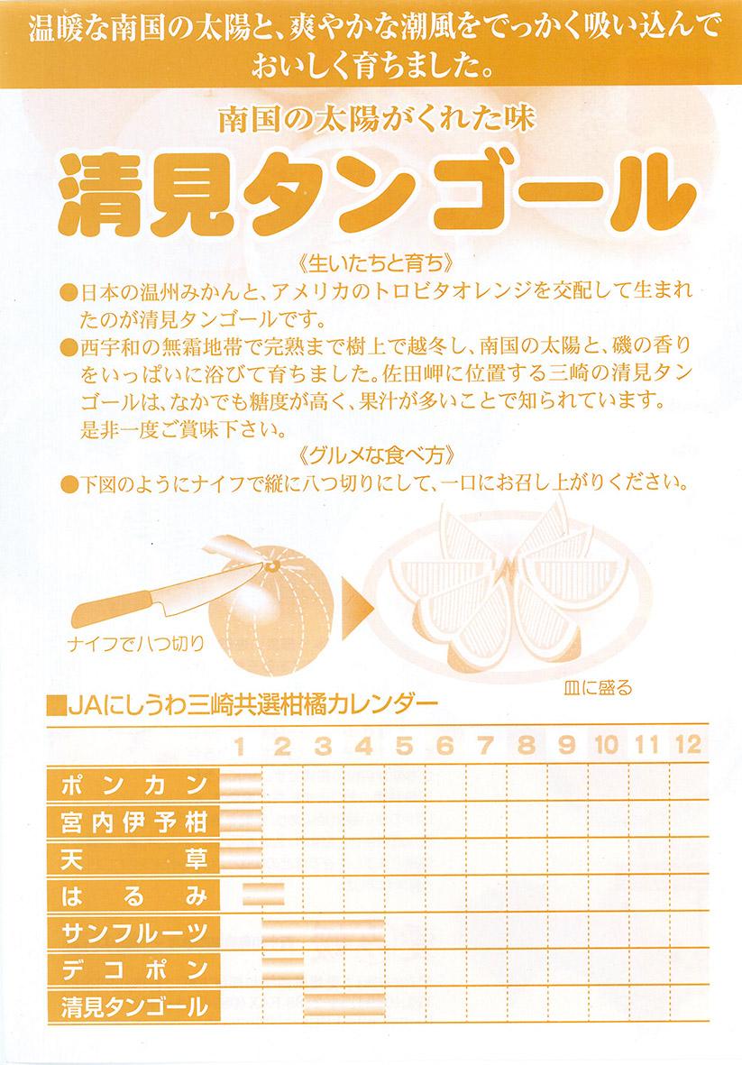 清見タンゴール（Pプラ包装・生果2.5kg）※離島への配送不可 IKTBD006