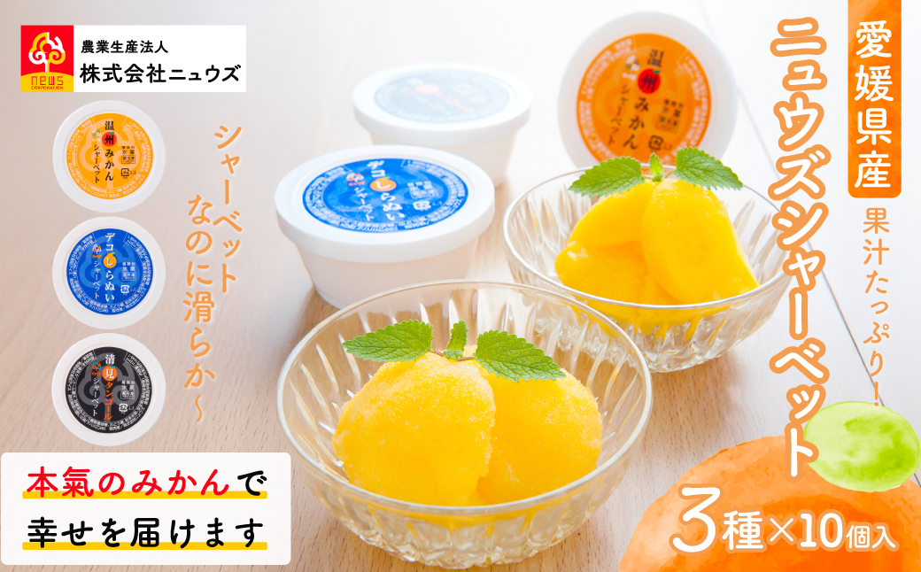 果汁たっぷり！シャーベットなのに滑らかな口当たりニュウズシャーベット3種10個 ※離島への配送不可 IKTF025
