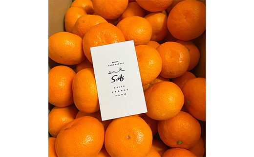 【先行予約】Saito Orange Farmの南柑20号5kg ｜ 温州みかん 代表 柑橘 みかん ミカン フルーツ  果物 愛媛　※離島への配送不可　※2024年12月上旬頃より順次発送予定