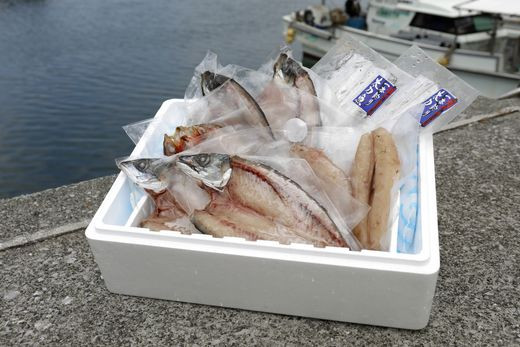 【一本釣り 匠の漁】佐田岬 玉手箱セット 5種×各2枚（計10枚） IKTJ006