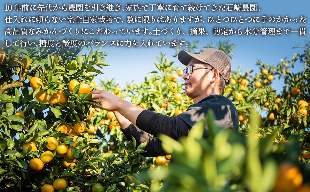 【先行予約】【数量限定】温州みかん5kg（石崎農園）※離島への配送不可 （2025年11月25日より順次発送予定） IKTAG001