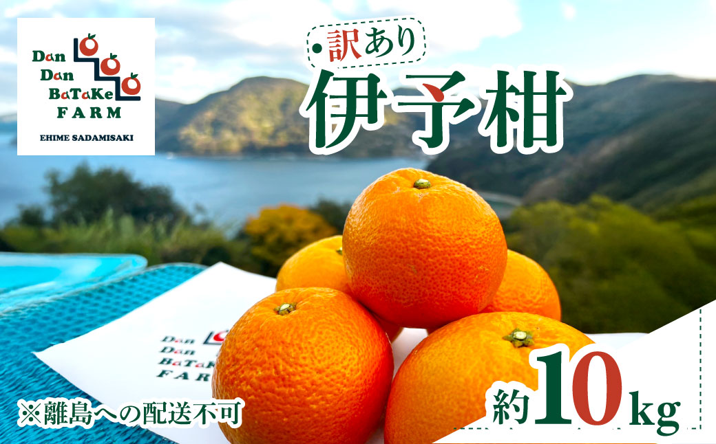 【先行予約】【訳あり】伊予柑 約10kg | 柑橘 みかん 果物 フルーツ 愛媛県産 農家直送　※離島への配送不可　※2026年1月中旬から順次発送予定  IKTAU002
