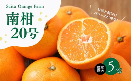 【先行予約】Saito Orange Farmの南柑20号5kg ｜ 温州みかん 代表 柑橘 みかん ミカン フルーツ  果物 愛媛　※離島への配送不可　※2024年12月下旬頃より順次発送予定