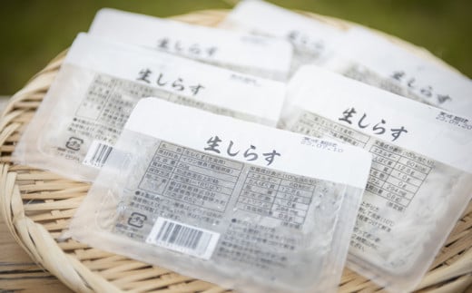 【愛媛県産・鮮度に自信あり！】生しらす50g×88パック◇｜ 愛媛県産 伊方町 佐田岬 朝日共販 生しらす 産地直送 極上鮮度 旨味凝縮 贈答用