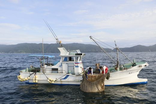 【愛媛県・佐田岬直送】木嶋水産の釜揚げしらすセット 700g（70g×10パック）｜ 魚介類 海産物 魚 釜揚げ しらす シラス 小分け やみつき ご飯のお供 おつまみ 酒の肴 おやつ しらす丼 サラダ 海産物 魚 冷凍 国産 愛媛県産　※離島への配送不可