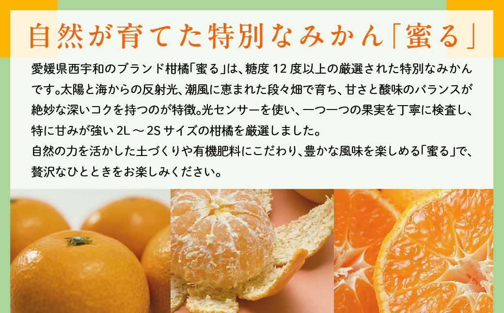 JAにしうわ みつる共選 「蜜る」4kg（2S～2L）※離島への配送不可（2026年11月中旬より順次発送予定） IKTBC004