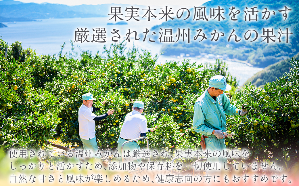 木なり「熟」みかんジュース（720ml×2本） IKTE010