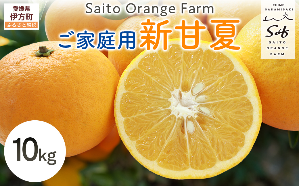 ãå
è¡äºçŽãSaito Orange Farm ãå®¶åºçš æ°çå€10kg ïŒ2027幎3æäžæ¬é ããé æ¬¡çºéäºå®ïŒ IKTAQ030