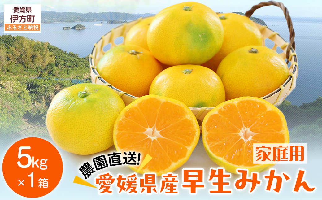 【先行予約】【数量限定】＼農園直送／愛媛県産早生みかん5kg×1箱（家庭用）（2025年11月中下旬より順次発送） 【ふるさと納税 人気 おすすめ ランキング 柑橘 みかん 早生みかん ミカン 蜜柑 果物 フルーツ 農園直送 産地直送 岡市農園 愛媛県産 愛媛県 伊方町 送料無料】 IKTV009