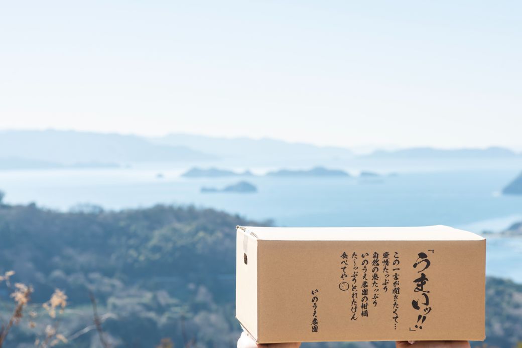 【先行予約】いのうえ農園のなつみ 3kg ※離島への配送不可 (※2026年5月上旬頃より順次発送)  IKTAI001