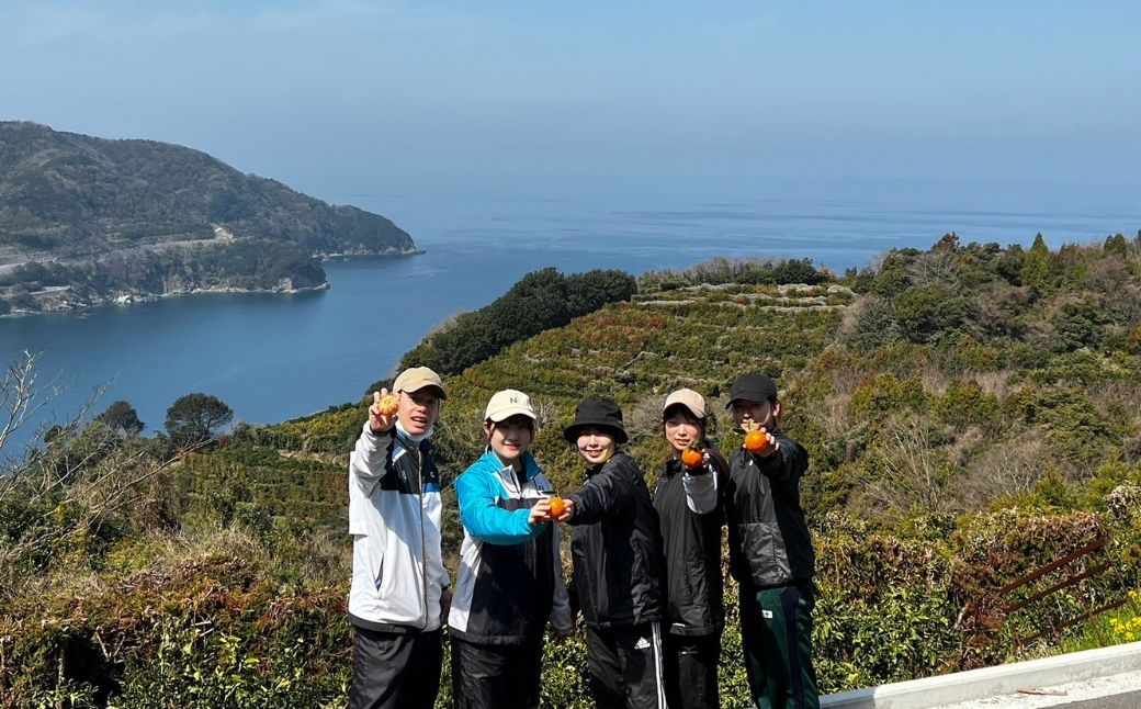 【訳あり】清見オレンジ 約10kg ※離島への配送不可 IKTAU011