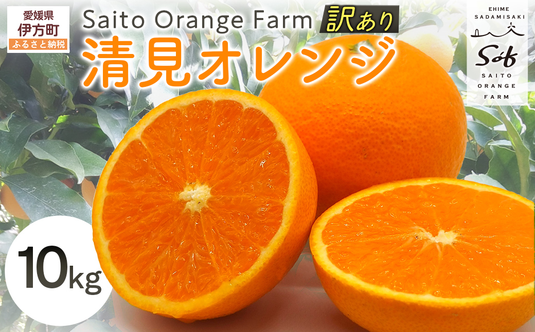 【先行予約】Saito Orange Farmの訳あり清見オレンジ10kg（2026年3月中旬頃より順次発送） IKTAQ010