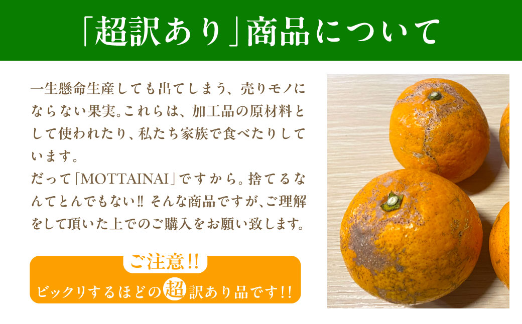 【先行受付】【※超訳あり】清見オレンジ 5kg ※離島への配送不可 （2026年3月中旬より順次発送） IKTAB009 