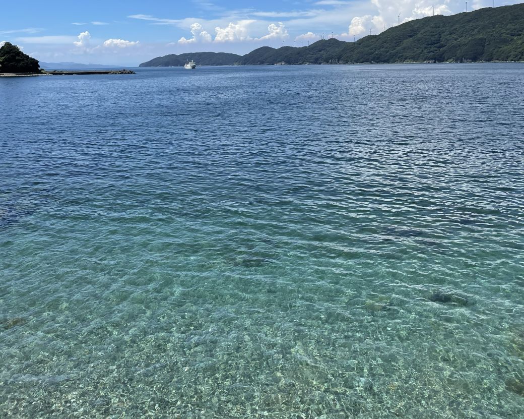 Saito Orange Farm 柑橘5kg + 愛媛・西宇和・佐田岬　土・日・祝日　限定一棟貸しゲストハウスHANARE Stay&Space佐田岬 素泊まり宿泊券（3名様分チケット） IKTAQ003