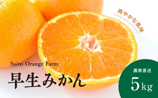 【先行予約】Saito Orange Farmの早生(わせ)みかん5kg ｜ 柑橘 みかん ミカン フルーツ  果物 愛媛　※離島への配送不可　※2024年12月上旬頃より順次発送予定