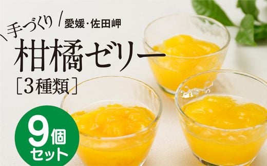 【皮までまるごと国産無添加】愛媛まるごとゼリーセット（9個）