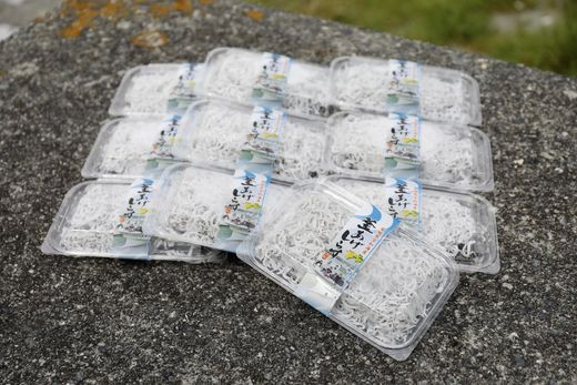 【愛媛県・佐田岬直送】木嶋水産の釜揚げしらすセット 700g（70g×10パック）｜ 魚介類 海産物 魚 釜揚げ しらす シラス 小分け やみつき ご飯のお供 おつまみ 酒の肴 おやつ しらす丼 サラダ 海産物 魚 冷凍 国産 愛媛県産　※離島への配送不可