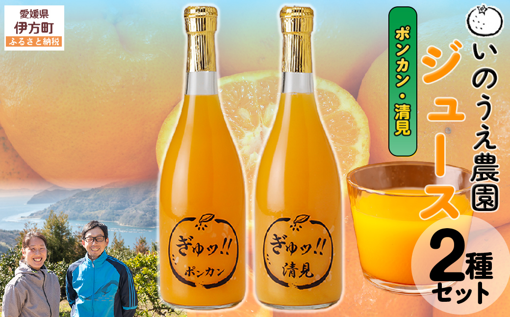 ãã®ãã蟲å ãžã¥ãŒã¹2çš®ã»ããïŒãã³ã«ã³/æž
èŠïŒâ»é¢å³¶ãžã®é
éäžå¯ IKTAI021