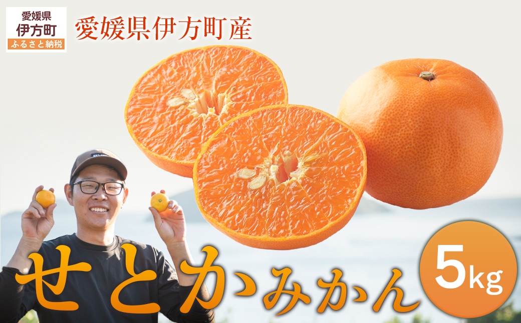 【先行予約】せとか5kg ※離島への配送不可 （2027年2月10日より順次発送予定） IKTAG004