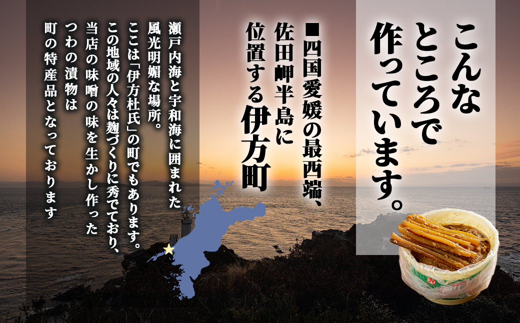 縺、繧上ョ蜻ウ蝎梧シャ2kg譯カ蜈・繧 IKTBK007