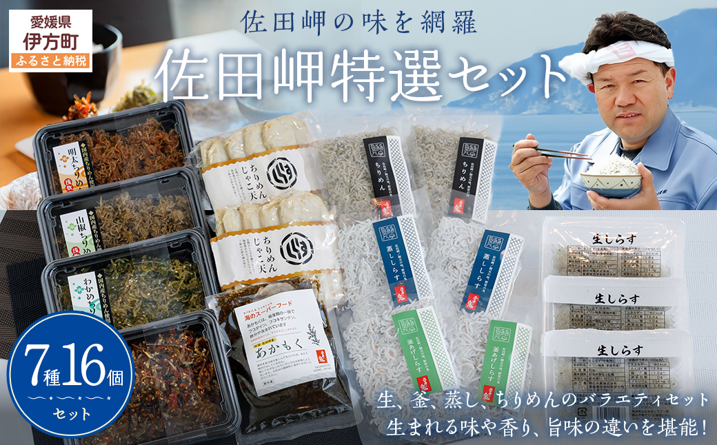 【佐田岬の味を網羅】佐田岬特選セット◇ IKTB021