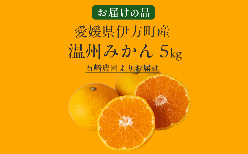 【先行予約】【数量限定】温州みかん5kg（石崎農園）※離島への配送不可 （2025年11月25日より順次発送予定） IKTAG001