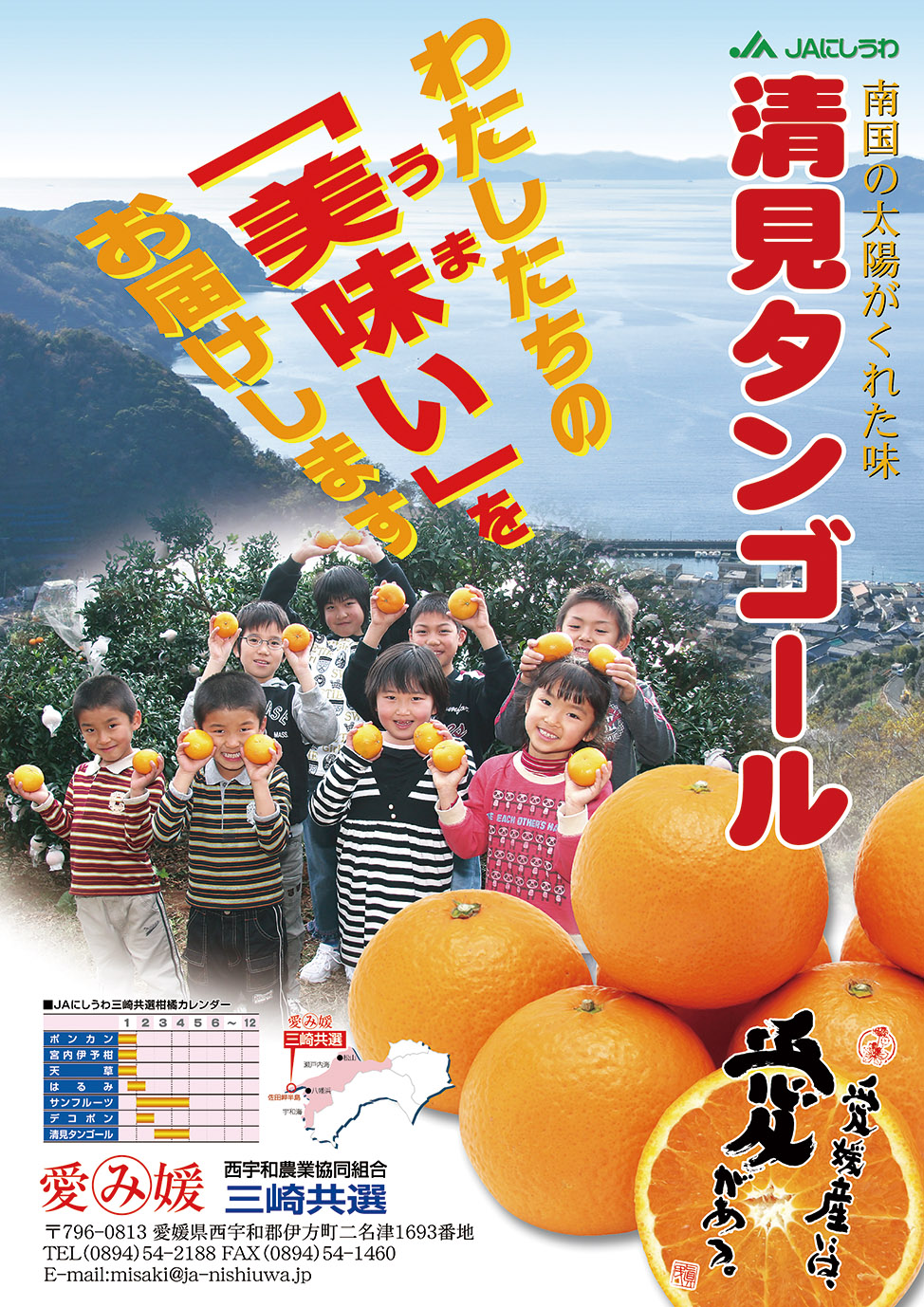 【先行予約】清見タンゴール（生果2.5kg）※離島への配送不可（2026年3月上旬より順次発送予定） IKTBD014