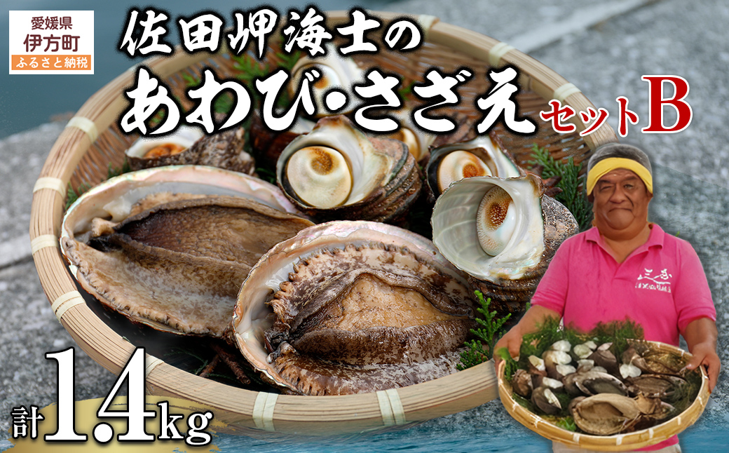 【数量限定】佐田岬海士のあわび・さざえセットB ※北海道・東北地方・沖縄・離島への配送不可 IKTJ002