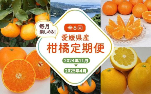 【愛媛県共通返礼品】【定期便】愛媛の柑橘定期便（全6回）（日の丸みかん・紅まどんな・いよかん・甘平・せとか・河内晩柑） ※2024年11月～2025年4月に毎月1回発送予定◇